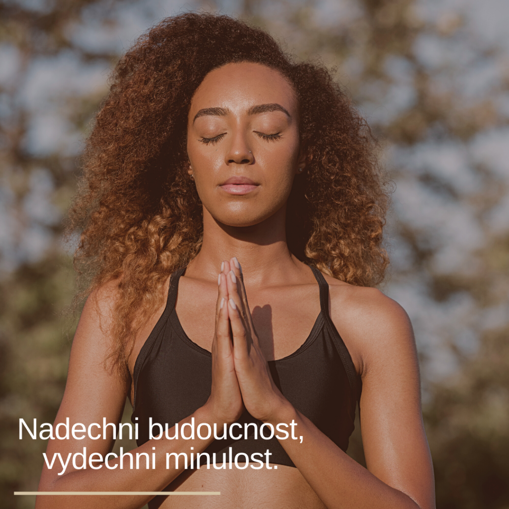 Terracotta Mental Wellness Meditation Promotion Fitness & Wellness Feed Ad